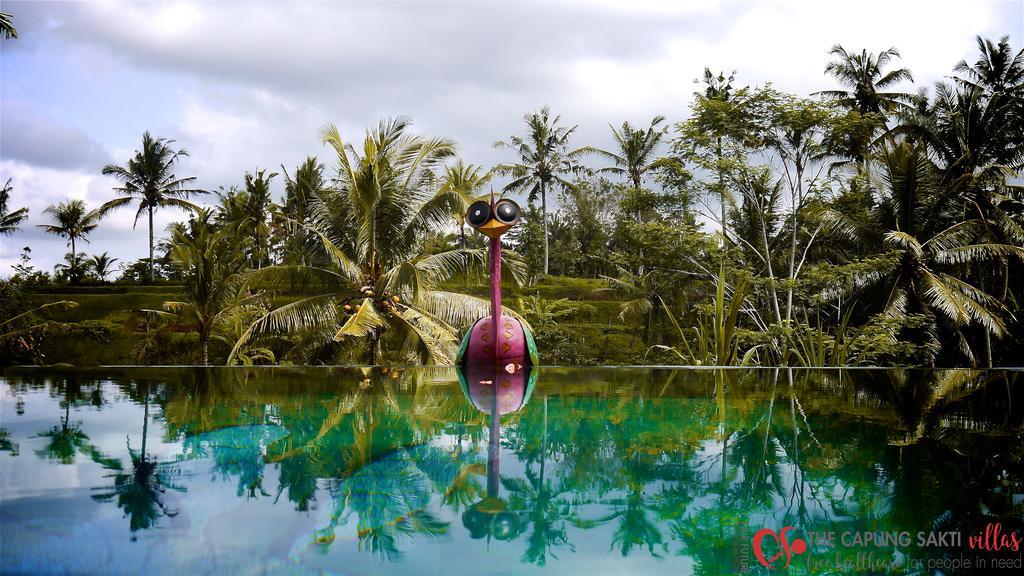 Capung Sakti Villas أوبود المظهر الخارجي الصورة