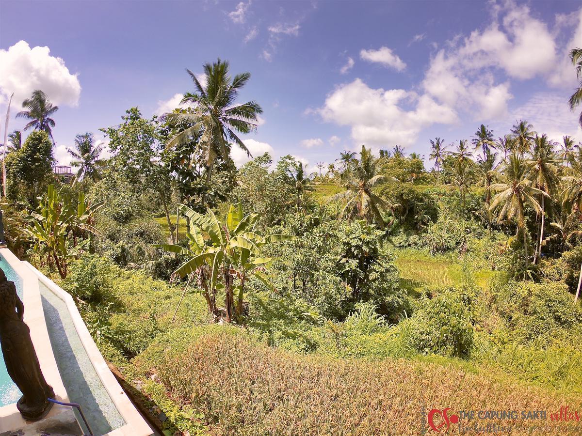 Capung Sakti Villas أوبود المظهر الخارجي الصورة