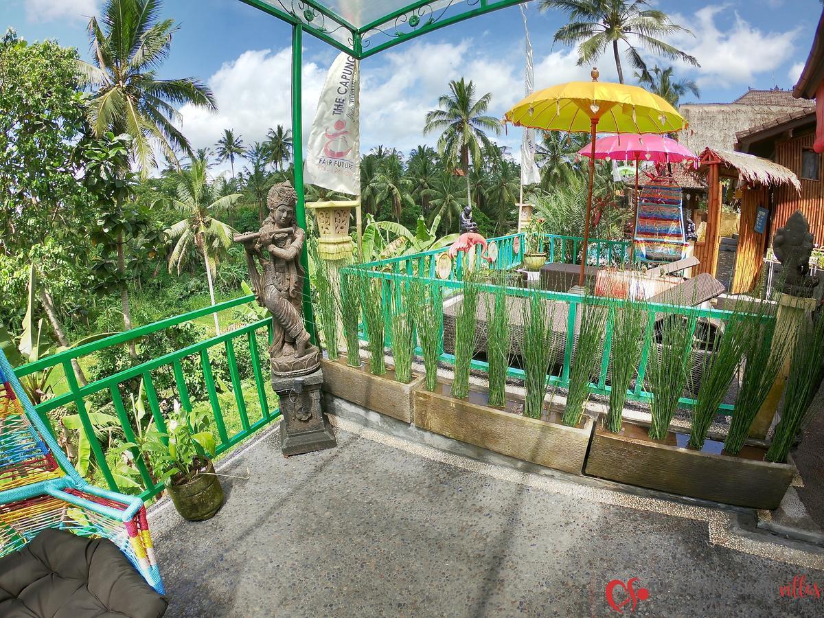 Capung Sakti Villas أوبود المظهر الخارجي الصورة