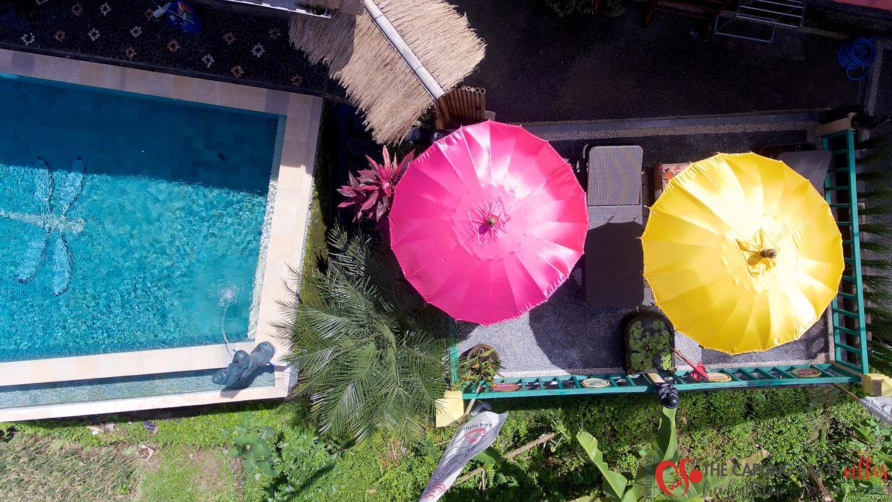 Capung Sakti Villas أوبود المظهر الخارجي الصورة
