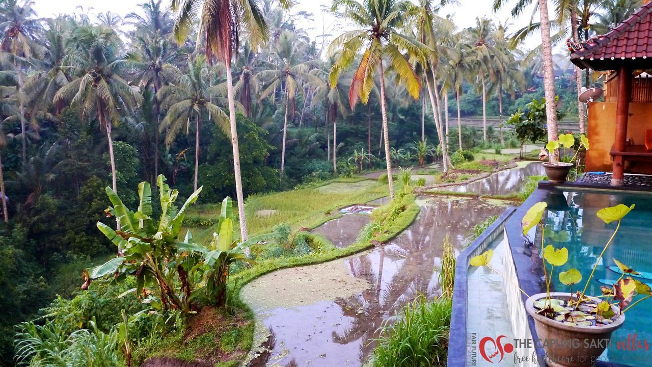 Capung Sakti Villas أوبود المظهر الخارجي الصورة