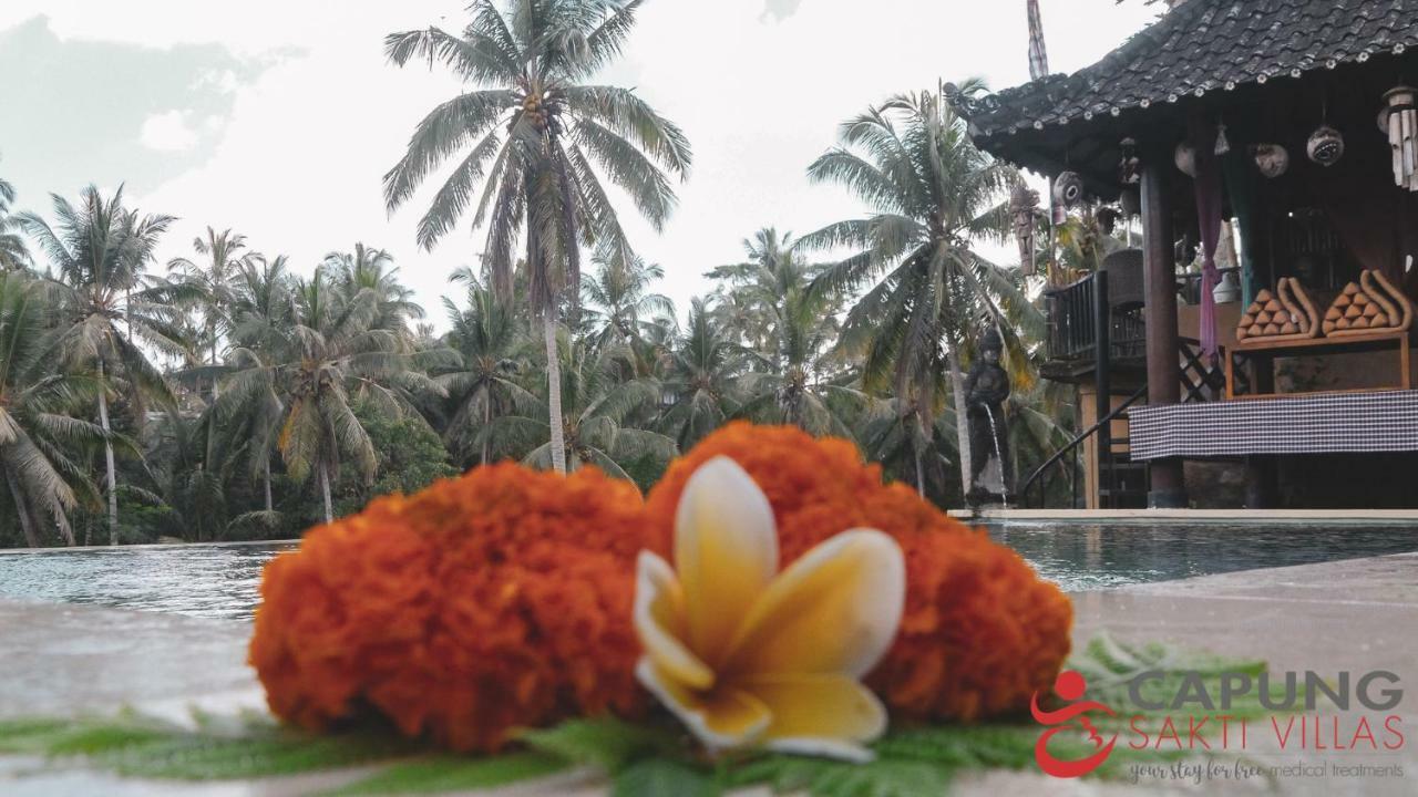 Capung Sakti Villas أوبود المظهر الخارجي الصورة
